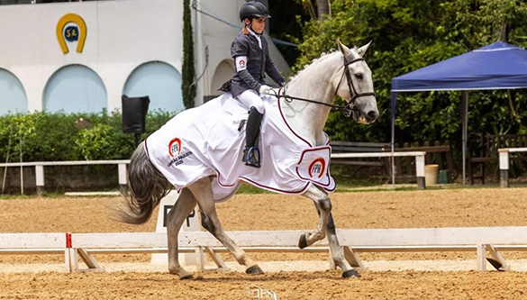 Vencedores da Premiação Especial de Adestramento