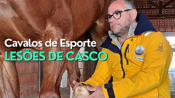 Lesões no Casco de Cavalos de Esporte - Insights do Dr. Hélio Itapema