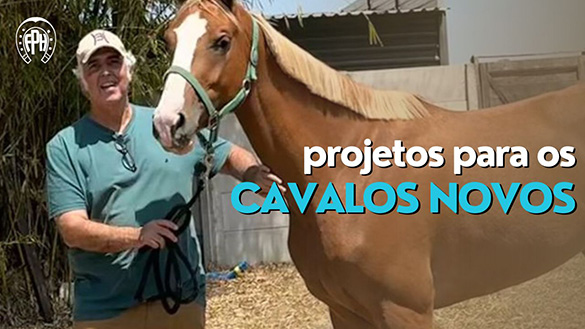 Planos para 2025: Fortino Revela Novidades para os Cavalos Novos