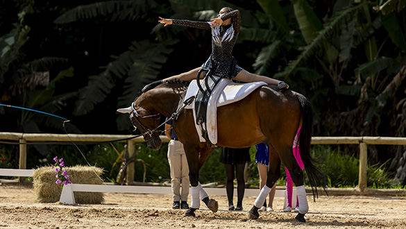 Campeões Paulistas de Volteio 2024