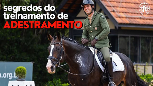 Segredos do Treinamento de Cavalos de Adestramento