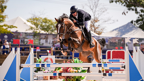 Veja os campeões do Sul-Americano de Cavalos Novos 2025