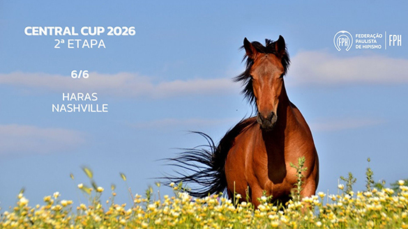 Programa 2ª Etapa Regional Central Cup